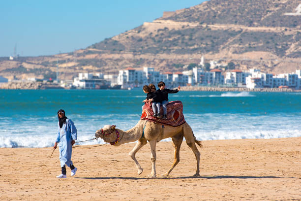 Camel ride in Agadir city beach